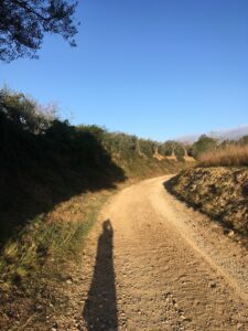 Lee más sobre el artículo Entrenando cuestas y velocidad