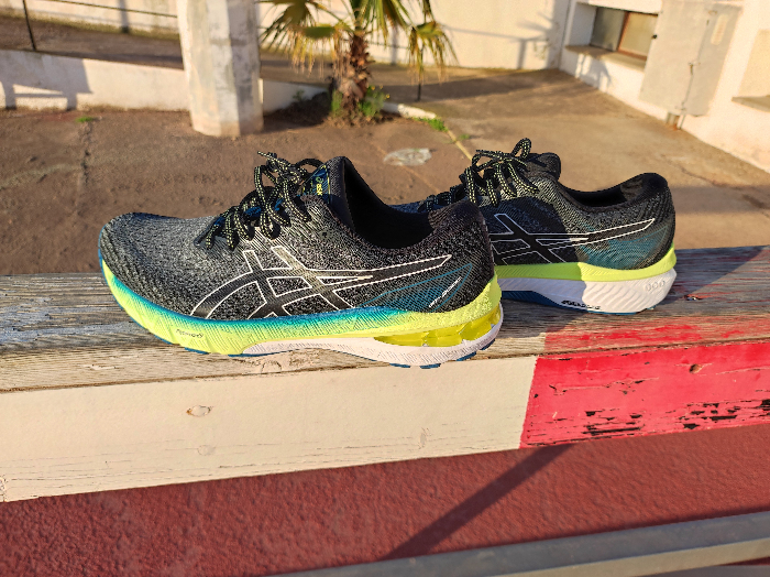 En este momento estás viendo Primeras impresiones corriendo con las Asics GT 2000 10